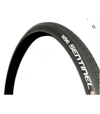 Primo Sentinal 24 x 1 Inch (25-540)